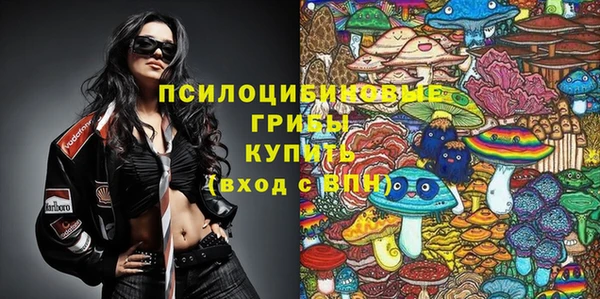 mdpv Лихославль
