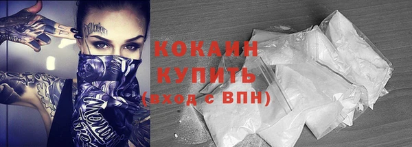 ПСИЛОЦИБИНОВЫЕ ГРИБЫ Магас